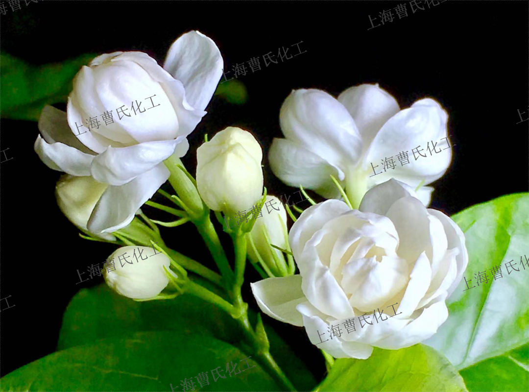 ！香精香料的香型分类麻将胡了试玩干货分享(图2)